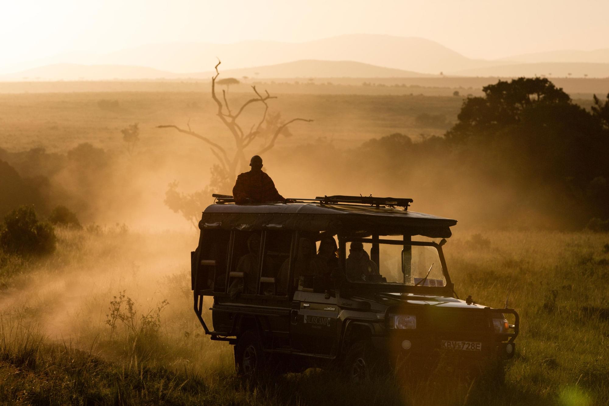 Adventures In The Wild Most Incredible Safari Activities