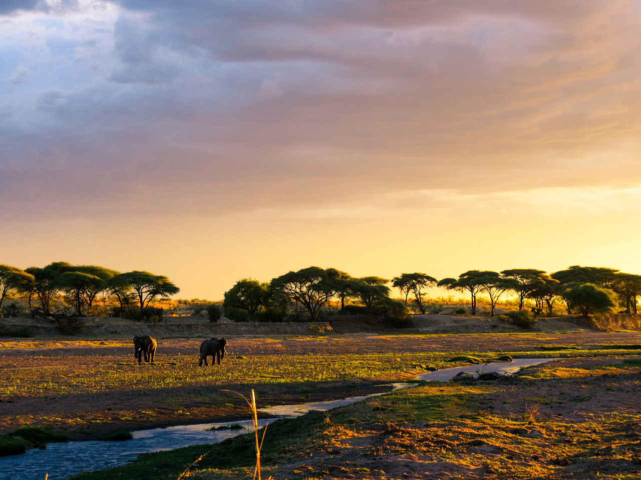 Budget African Safaris: Affordable Friendly African Travel