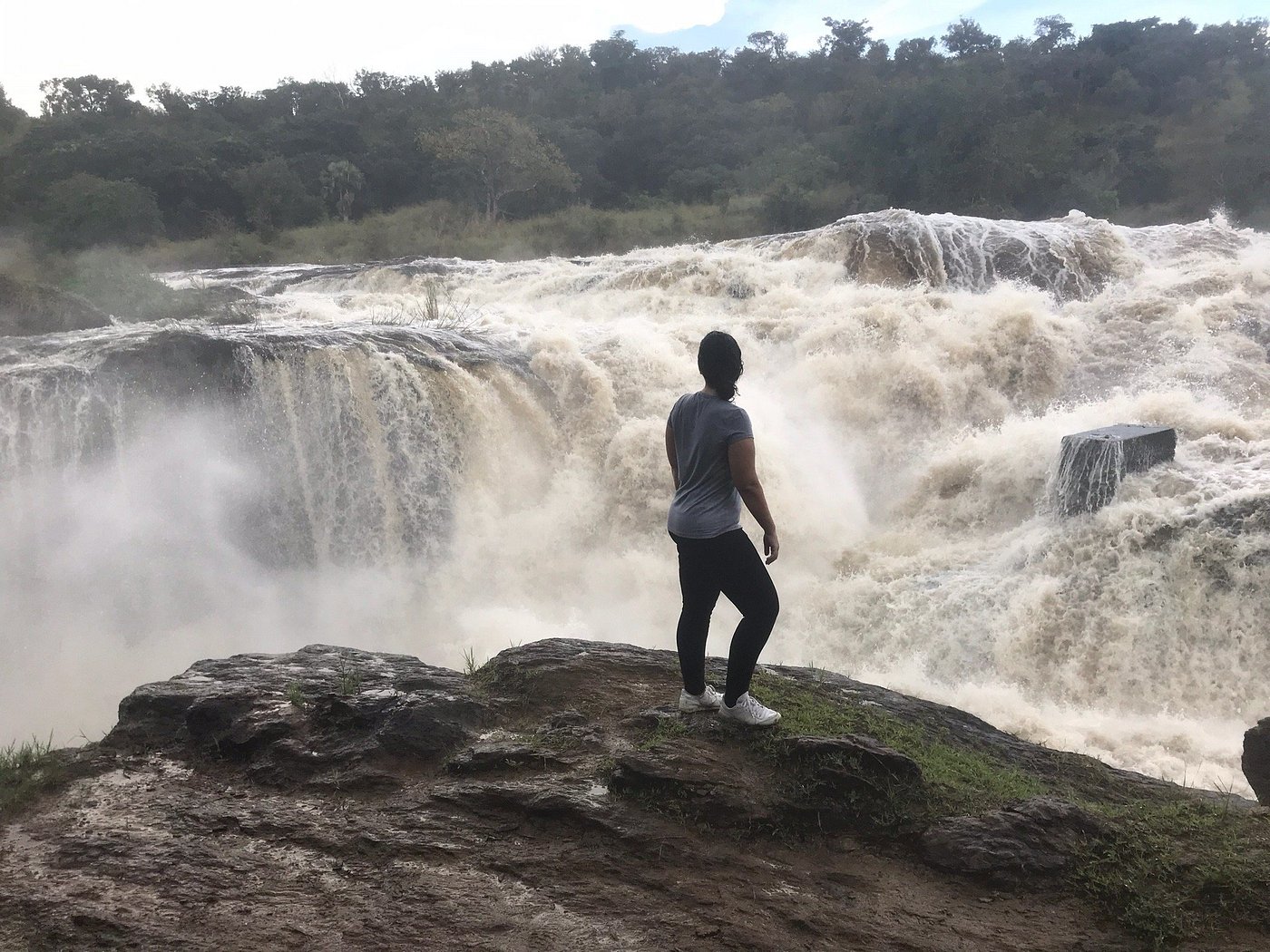 9 Days in Murchison Falls Kidepo Pian Upe Safari Itinerary