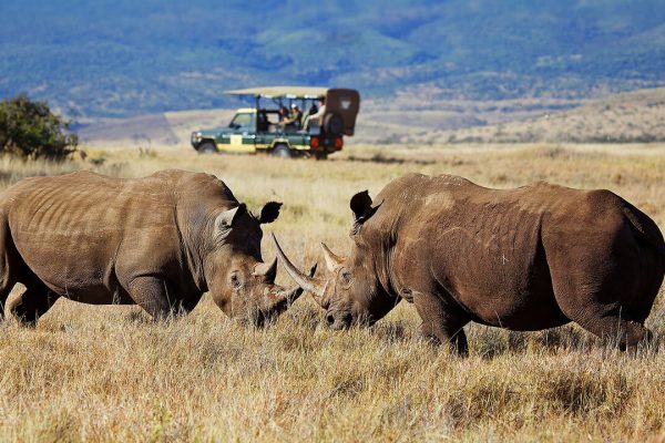 List of National Parks in Kenya and Game Reserves