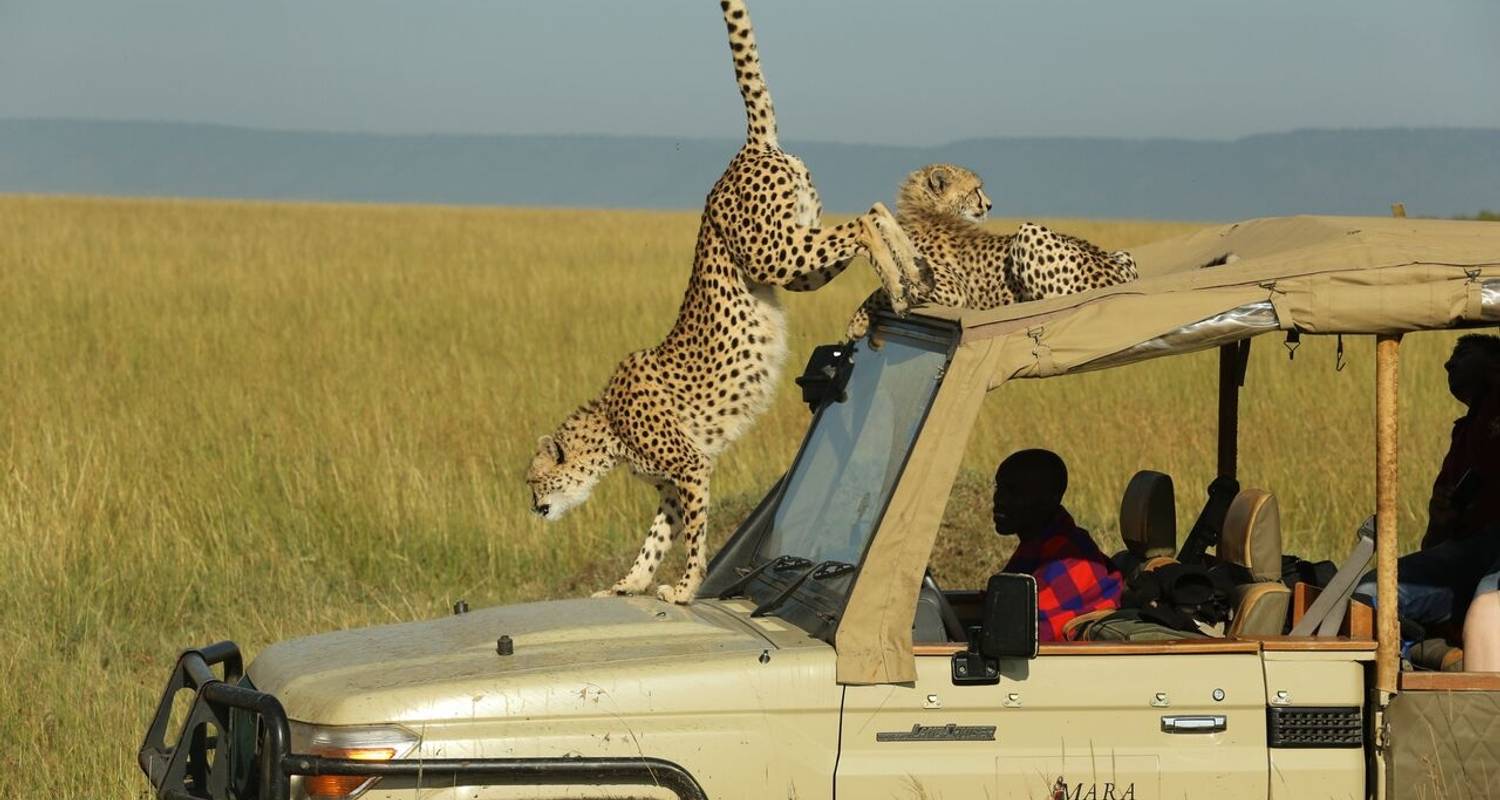 safari kenia price