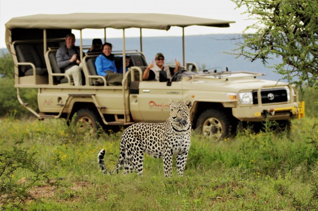 African Safari Cost: Ultimate African Safari Pricing Guide