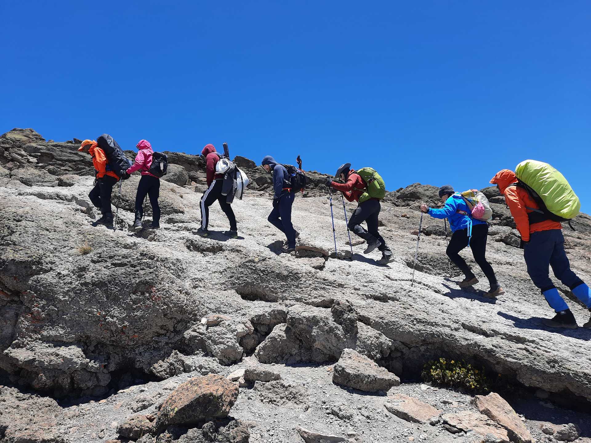 Kilimanjaro shop climb tour