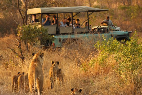 Things to Do in Kruger National Park