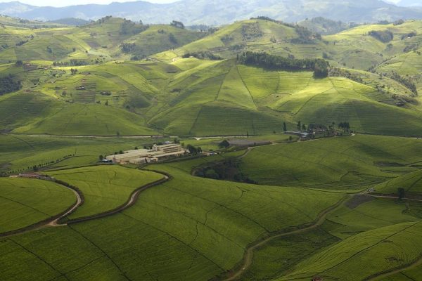 Land of thousand hills Rwanda