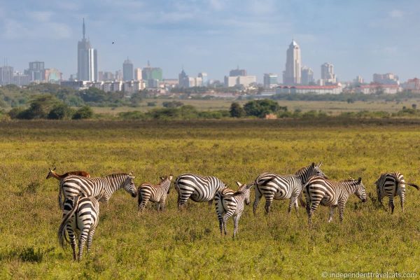 Nairobi Day Trips