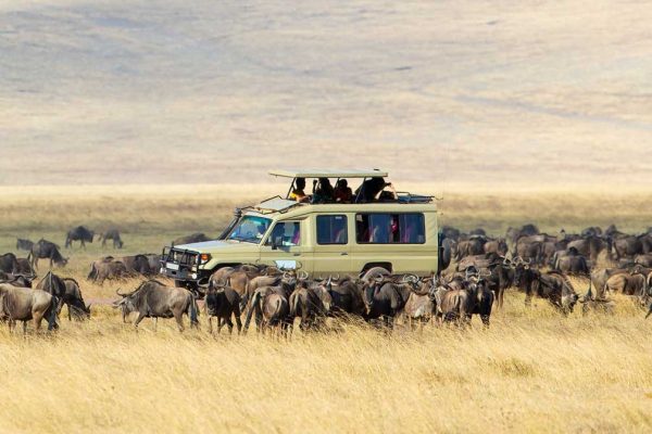 Serengeti Safaris From