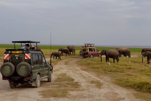 7 Days Kenya Budget Safari Itinerary